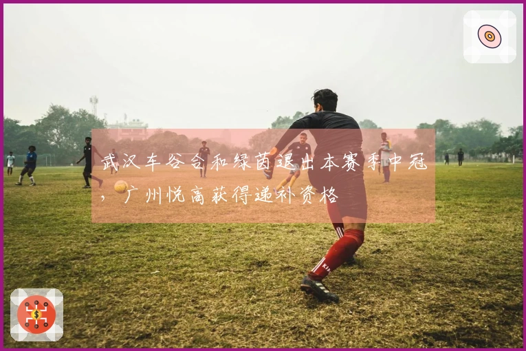 武汉车谷合和绿茵退出本赛季中冠，广州悦高获得递补资格