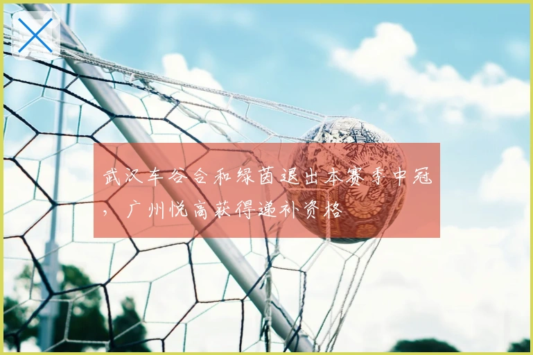 武汉车谷合和绿茵退出本赛季中冠,广州悦高获得递补资格